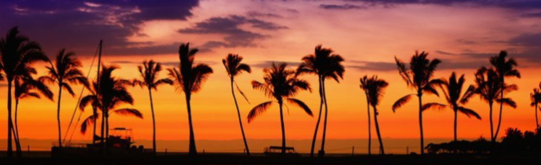 profitez de vos vacances au coucher de soleil a la plage 